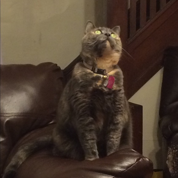 ๐๐๐LULUโS BIRTHDAY BUNDLE!!!๐๐๐ - Picture 6 of 8